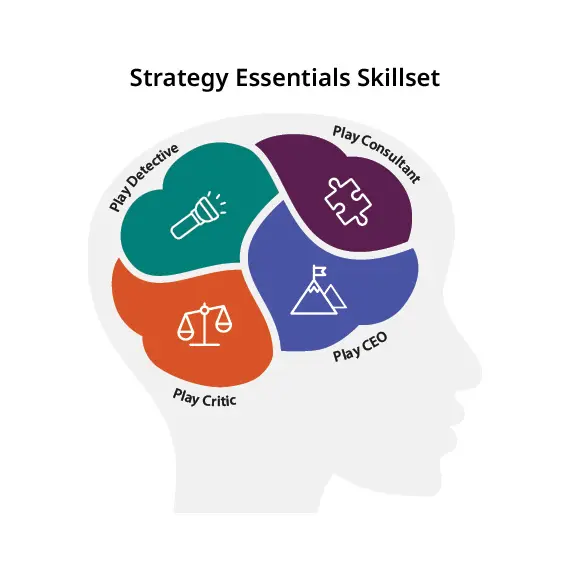 Strategy Essentials Skillset